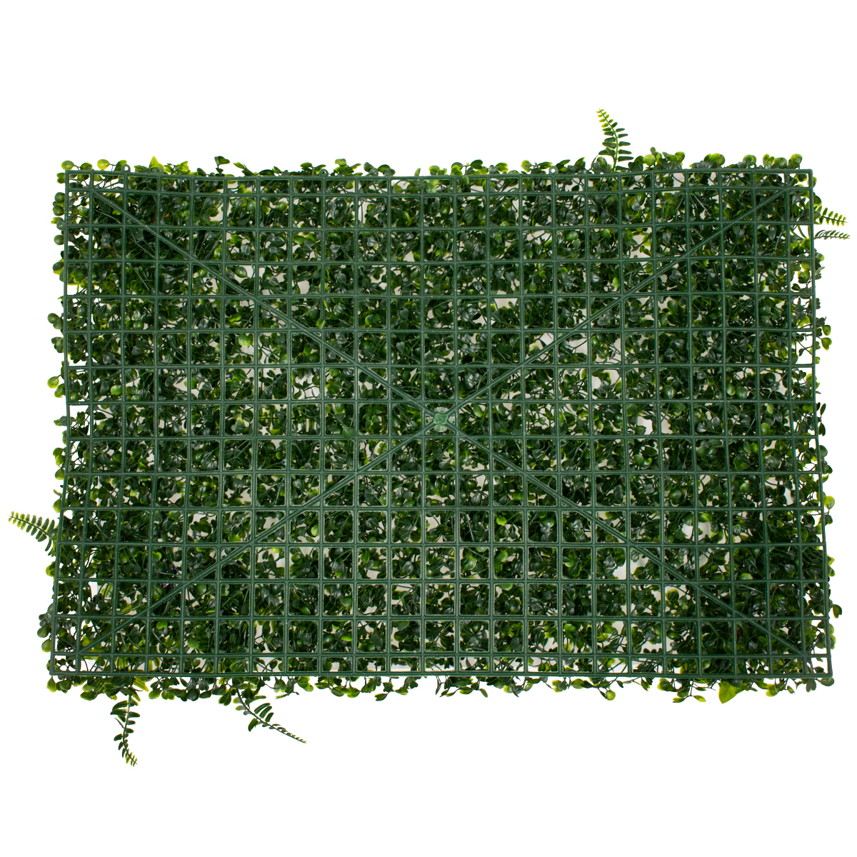 GloboStar® 78409 Artificial - Συνθετικό Τεχνητό Διακοσμητικό Πάνελ Φυλλωσιάς - Κάθετος Κήπος Πυξάρι - Φτέρη - Περεσκία Πράσινο Μ60 x Υ40 x Π7cm GloboStar® 78409 Artificial - Συνθετικό Τεχνητό Διακοσμητικό Πάνελ Φυλλωσιάς - Κάθετος Κήπος Πυξάρι - Φτέρη - Περεσκία Πράσινο Μ60 x Υ40 x Π7cm