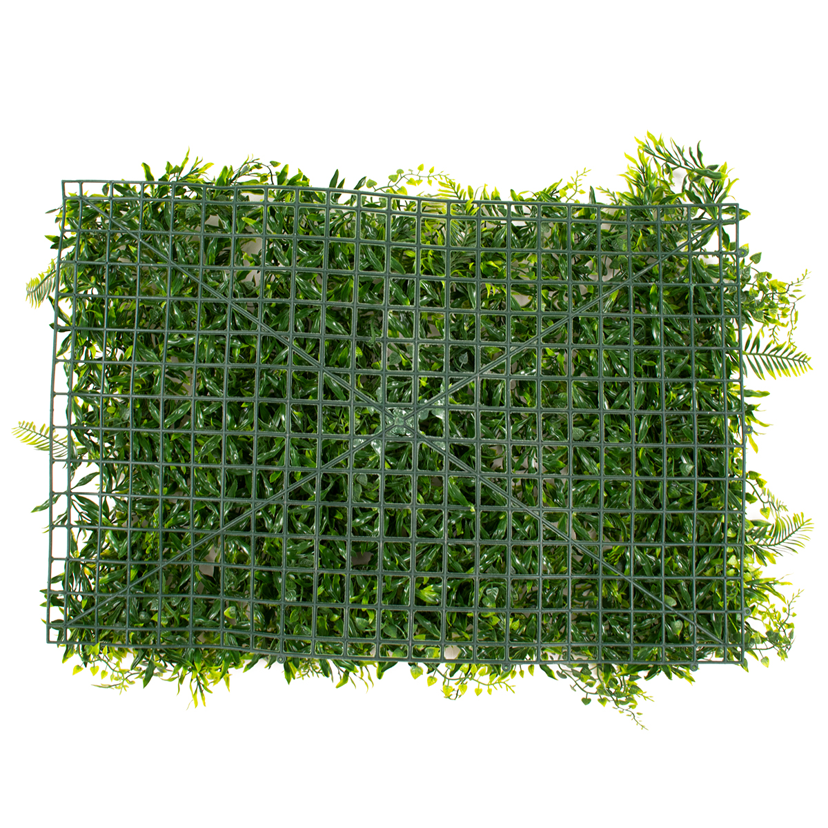 GloboStar® 78405 Artificial - Συνθετικό Τεχνητό Διακοσμητικό Πάνελ Φυλλωσιάς - Κάθετος Κήπος Νάνος Φτέρη - Νάνος Κισσός - Δανάη Πράσινο Μ60 x Υ40 x Π8cm GloboStar® 78405 Artificial - Συνθετικό Τεχνητό Διακοσμητικό Πάνελ Φυλλωσιάς - Κάθετος Κήπος Νάνος Φτέρη - Νάνος Κισσός - Δανάη Πράσινο Μ60 x Υ40 x Π8cm