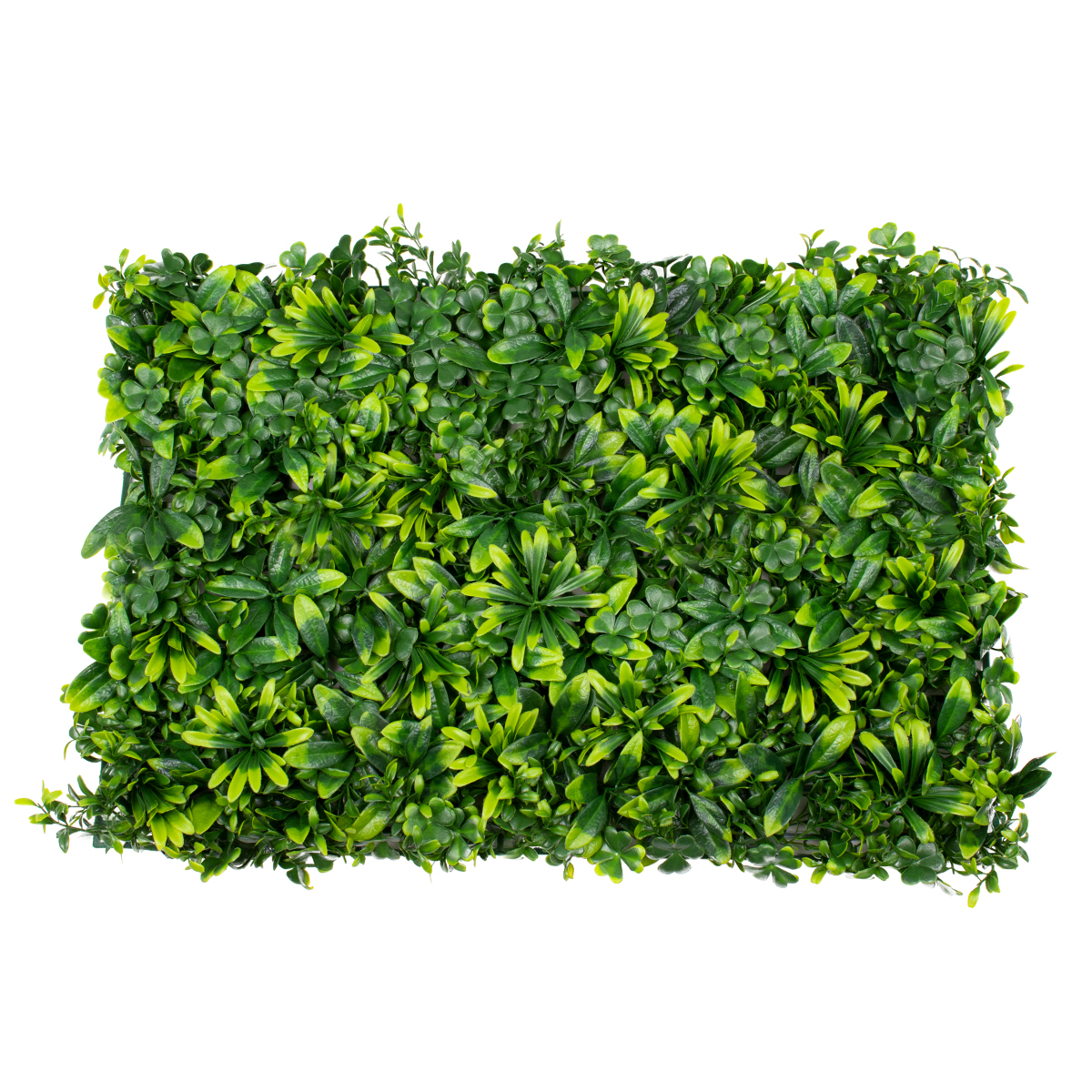 GloboStar® 78406 Artificial - Συνθετικό Τεχνητό Διακοσμητικό Πάνελ Φυλλωσιάς - Κάθετος Κήπος Τριφύλλι - Νάνος Δάφνη - Περεσκία Πράσινο Μ60 x Υ40 x Π8cm GloboStar® 78406 Artificial - Συνθετικό Τεχνητό Διακοσμητικό Πάνελ Φυλλωσιάς - Κάθετος Κήπος Τριφύλλι - Νάνος Δάφνη - Περεσκία Πράσινο Μ60 x Υ40 x Π8cm