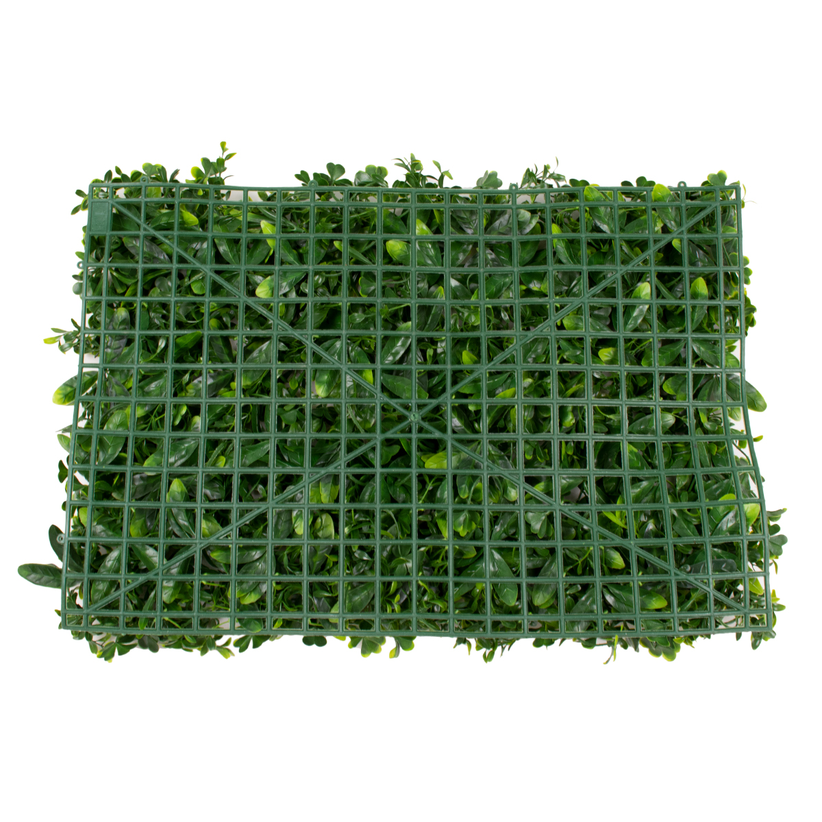 GloboStar® 78406 Artificial - Συνθετικό Τεχνητό Διακοσμητικό Πάνελ Φυλλωσιάς - Κάθετος Κήπος Τριφύλλι - Νάνος Δάφνη - Περεσκία Πράσινο Μ60 x Υ40 x Π8cm GloboStar® 78406 Artificial - Συνθετικό Τεχνητό Διακοσμητικό Πάνελ Φυλλωσιάς - Κάθετος Κήπος Τριφύλλι - Νάνος Δάφνη - Περεσκία Πράσινο Μ60 x Υ40 x Π8cm
