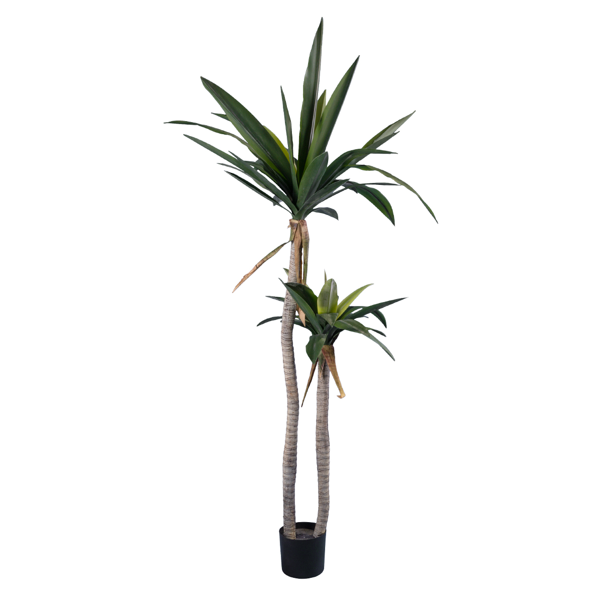GloboStar® Artificial Garden AGAVE 20045 Τεχνητό Διακοσμητικό Φυτό Αγαύη Υ172cm GloboStar® Artificial Garden AGAVE 20045 Τεχνητό Διακοσμητικό Φυτό Αγαύη Υ172cm