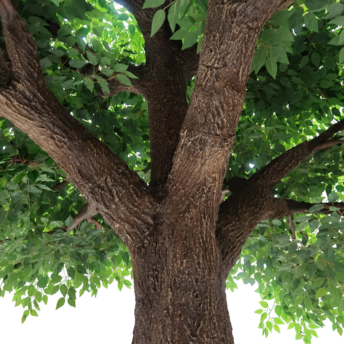 GloboStar® Artificial Garden BANYAN FICUS TREE 20160 Τεχνητό Διακοσμητικό Δέντρο Ινδική Συκιά Φίκος Υ340cm GloboStar® Artificial Garden BANYAN FICUS TREE 20160 Τεχνητό Διακοσμητικό Δέντρο Ινδική Συκιά Φίκος Υ340cm