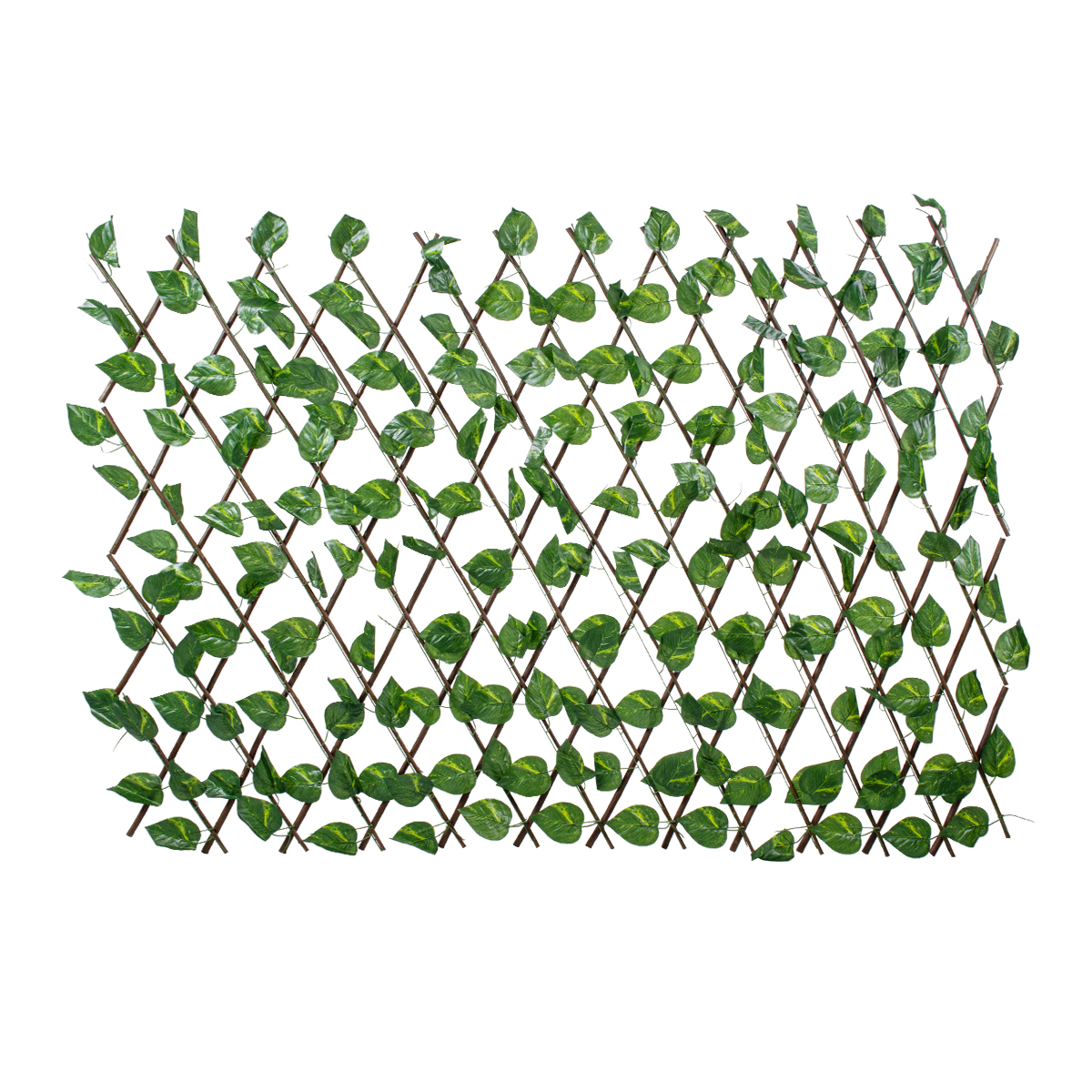 GloboStar® Artificial Garden GOLDEN POTHOS 78496 Πτυσσόμενη Πέργκολα Τεχνητής Φυλλωσιάς - Κάθετος Κήπος Σύνθεση Πόθος Μ110 x Π10 x Υ120cm (min) Μ310 x Π10 x Υ45cm (max) GloboStar® Artificial Garden GOLDEN POTHOS 78496 Πτυσσόμενη Πέργκολα Τεχνητής Φυλλωσιάς - Κάθετος Κήπος Σύνθεση Πόθος Μ110 x Π10 x Υ120cm (min) Μ310 x Π10 x Υ45cm (max)