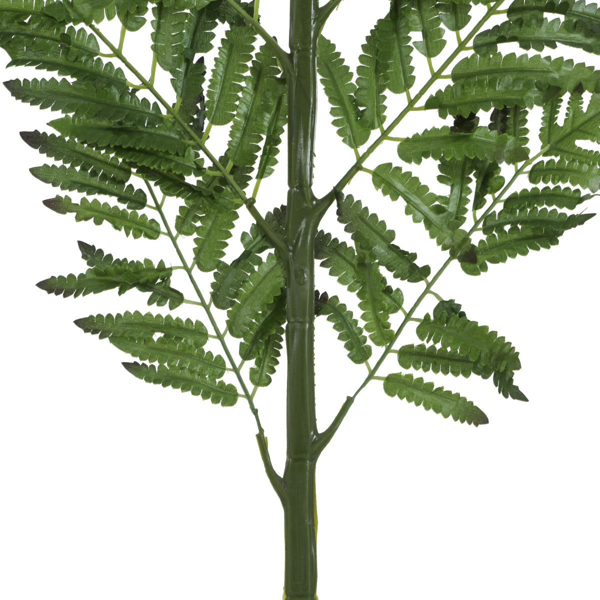 GloboStar® Artificial Garden ALSOPHILA FERN LEAF 20178 Τεχνητό Διακοσμητικό Φύλο Φτέρης Π60 x Υ180cm GloboStar® Artificial Garden ALSOPHILA FERN LEAF 20178 Τεχνητό Διακοσμητικό Φύλο Φτέρης Π60 x Υ180cm