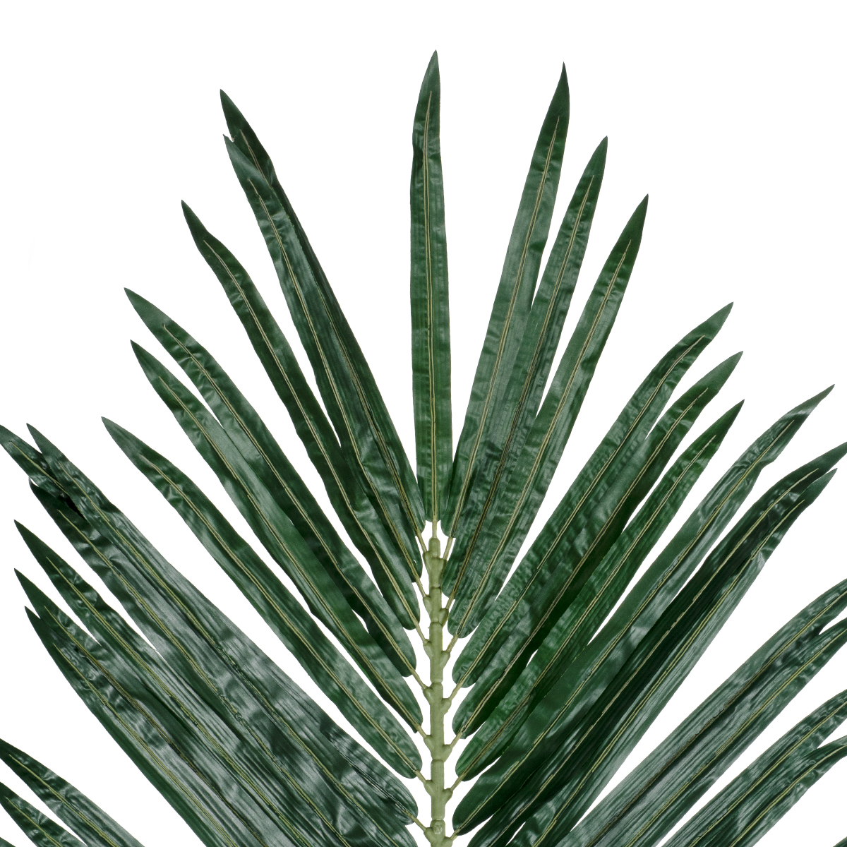 GloboStar® Artificial Garden ARECA PALM LEAF 20182 - Τεχνητό Διακοσμητικό Φύλο Φοινικόδεντρου Αρέκα Π95 x Υ280cm GloboStar® Artificial Garden ARECA PALM LEAF 20182 - Τεχνητό Διακοσμητικό Φύλο Φοινικόδεντρου Αρέκα Π95 x Υ280cm