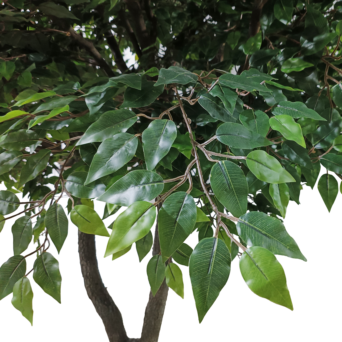 GloboStar® Artificial Garden BANYAN FICUS TREE 20361 Τεχνητό Διακοσμητικό Δέντρο Ινδική Συκιά Φίκος Υ300cm GloboStar® Artificial Garden BANYAN FICUS TREE 20361 Τεχνητό Διακοσμητικό Δέντρο Ινδική Συκιά Φίκος Υ300cm