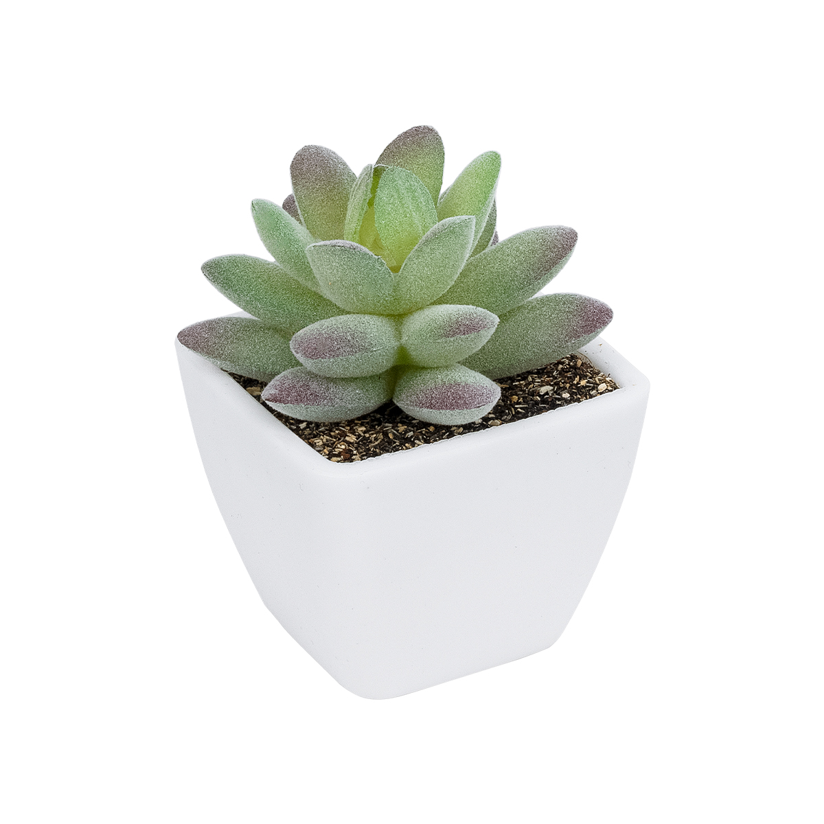 GloboStar® Artificial Garden SUCCULENT SEDEVERIA POTTED PLANT 20975 Διακοσμητικό Φυτό Φοίνικα Σερενόα Φ7 x Υ8cm GloboStar® Artificial Garden SUCCULENT SEDEVERIA POTTED PLANT 20975 Διακοσμητικό Φυτό Φοίνικα Σερενόα Φ7 x Υ8cm