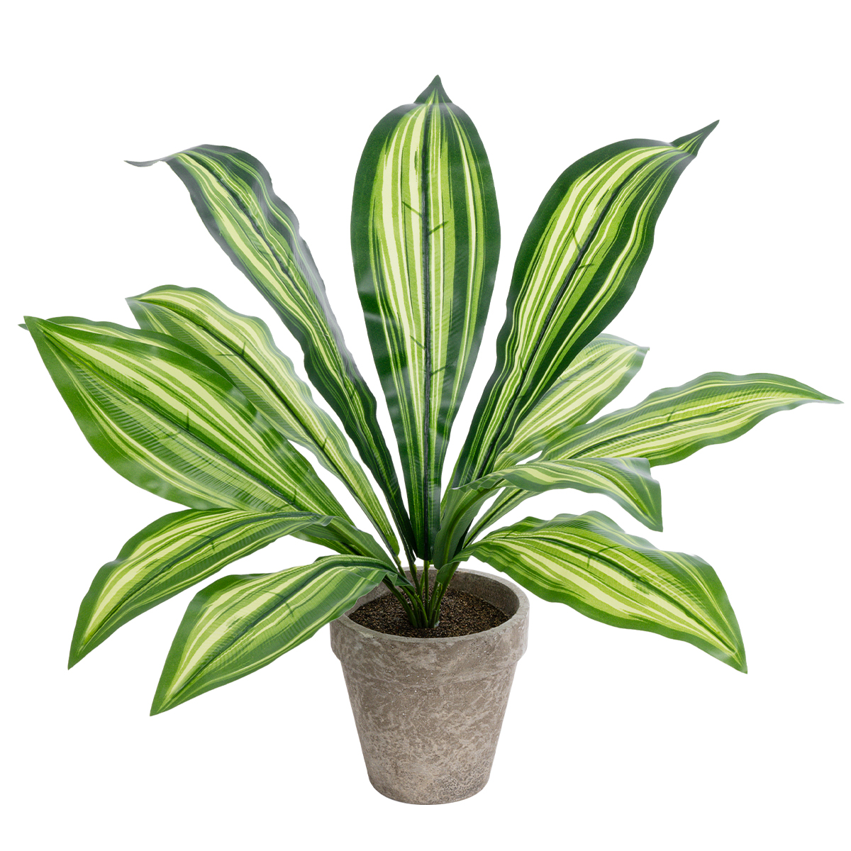 GloboStar® Artificial Garden DRACAENA POTTED PLANT 20907 Διακοσμητικό Φυτό Δράκενα Φ40 x Υ33cm GloboStar® Artificial Garden DRACAENA POTTED PLANT 20907 Διακοσμητικό Φυτό Δράκενα Φ40 x Υ33cm