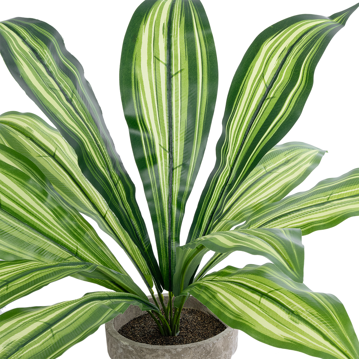 GloboStar® Artificial Garden DRACAENA POTTED PLANT 20907 Διακοσμητικό Φυτό Δράκενα Φ40 x Υ33cm GloboStar® Artificial Garden DRACAENA POTTED PLANT 20907 Διακοσμητικό Φυτό Δράκενα Φ40 x Υ33cm