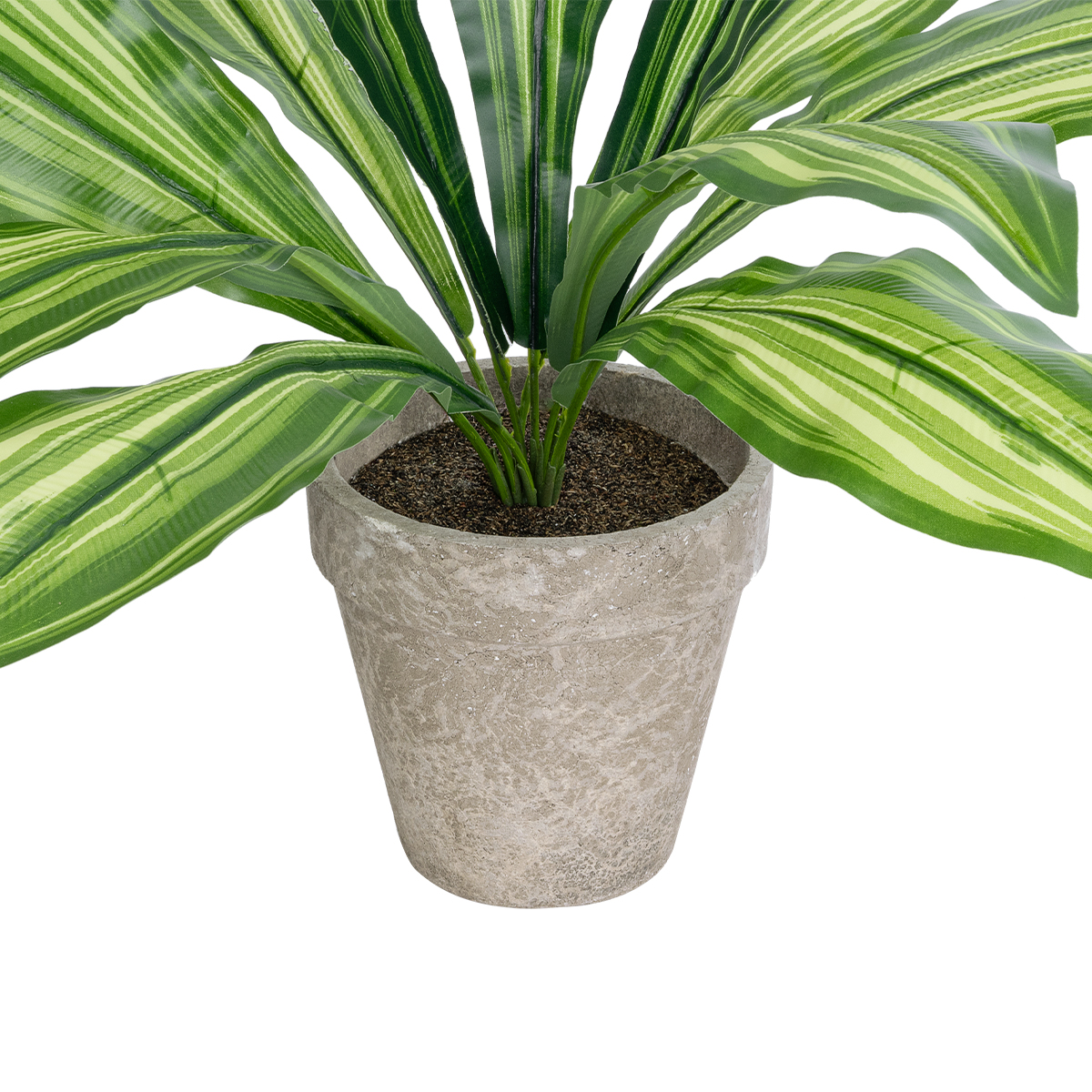 GloboStar® Artificial Garden DRACAENA POTTED PLANT 20907 Διακοσμητικό Φυτό Δράκενα Φ40 x Υ33cm GloboStar® Artificial Garden DRACAENA POTTED PLANT 20907 Διακοσμητικό Φυτό Δράκενα Φ40 x Υ33cm