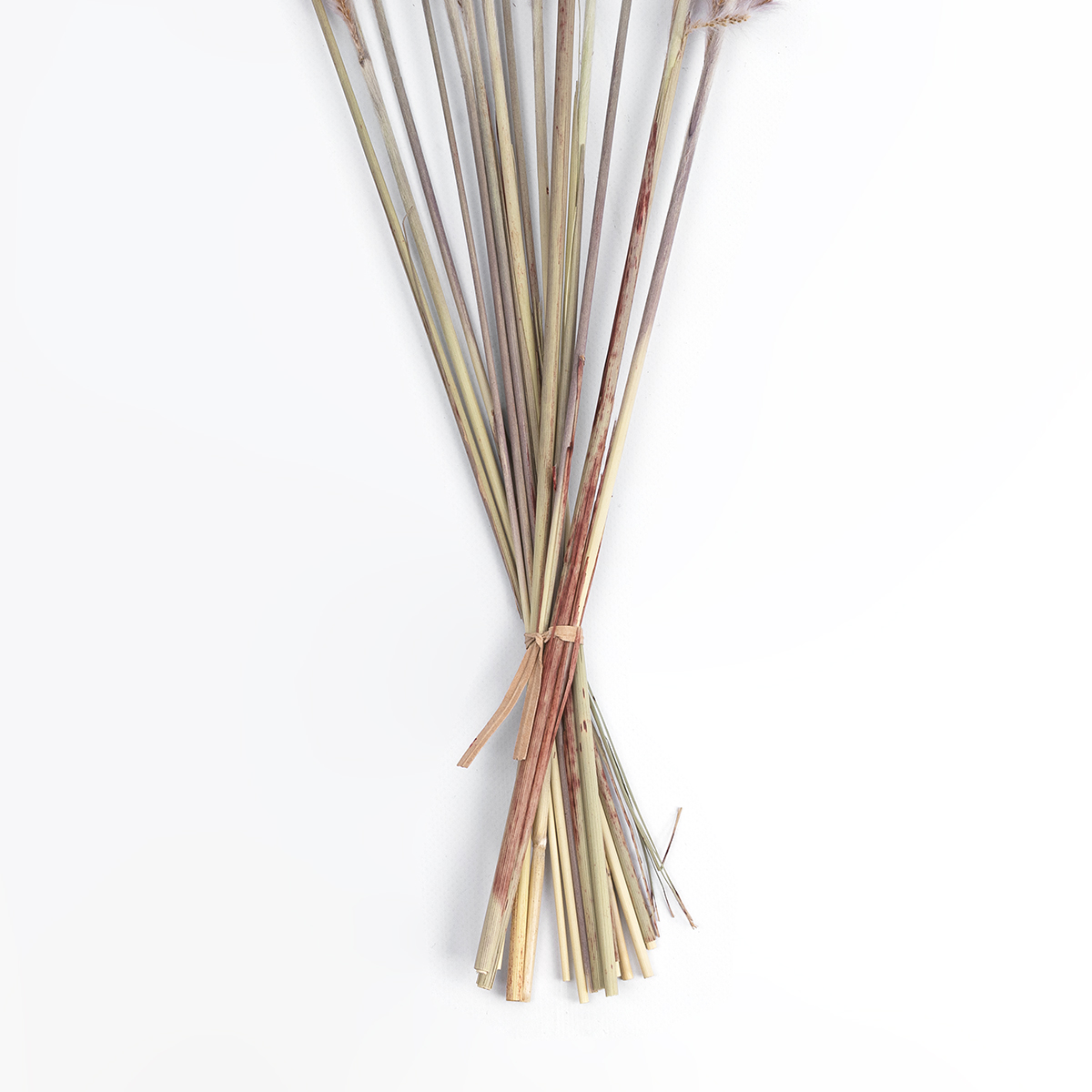 GloboStar® Artificial Garden REAL DRIED BROWN PAMPAS GRASS BUNCH 21215 Αποξηραμένο Διακοσμητικό Μπουκέτο Pampas Kάφε Y50cm - Σετ 15 τμχ GloboStar® Artificial Garden REAL DRIED BROWN PAMPAS GRASS BUNCH 21215 Αποξηραμένο Διακοσμητικό Μπουκέτο Pampas Kάφε Y50cm - Σετ 15 τμχ