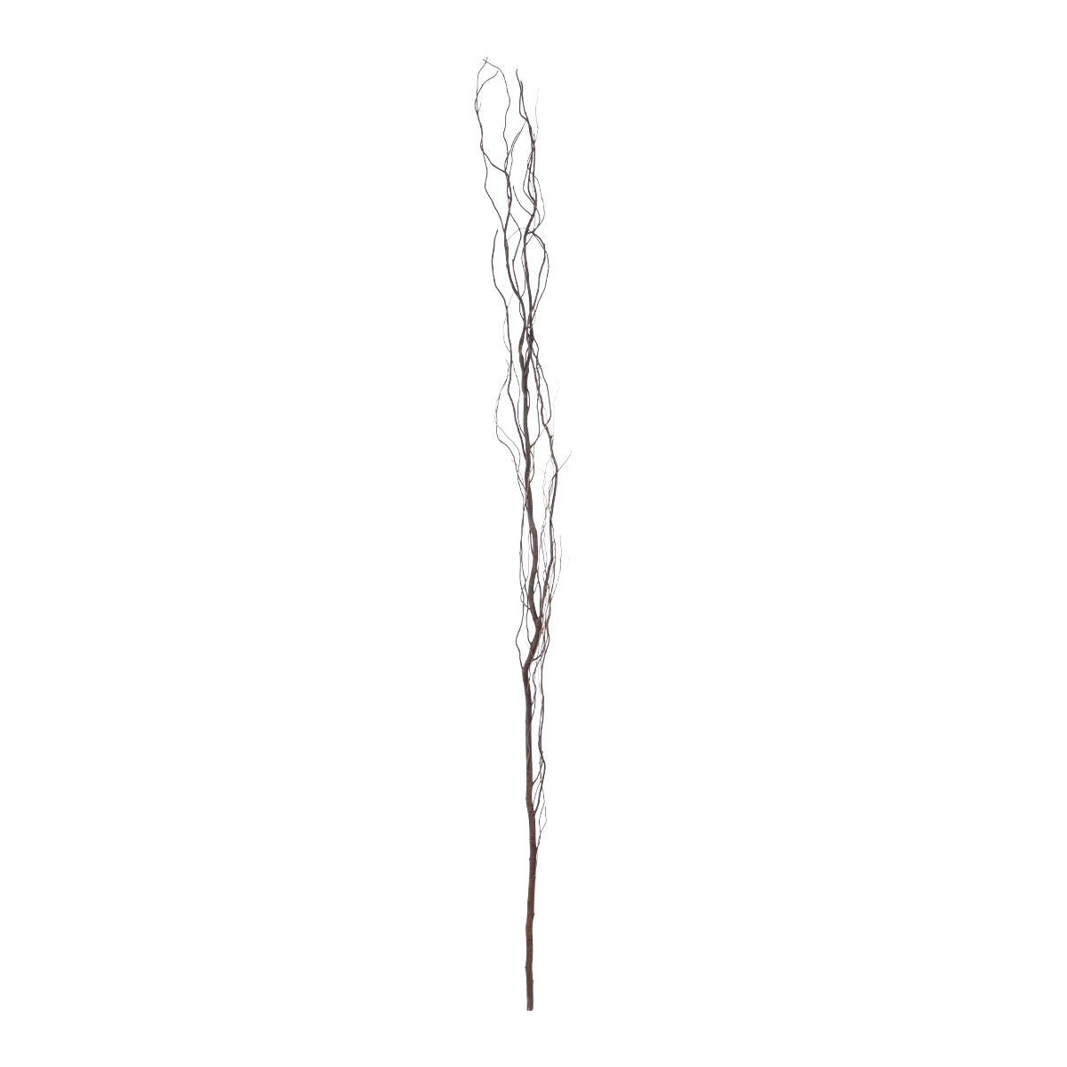 GloboStar® Artificial Garden REAL DRIED WITHERED VINE STEM 21221 Τεχνητό Διακοσμητικό Κλαδί Αμπελιού Y180cm GloboStar® Artificial Garden REAL DRIED WITHERED VINE STEM 21221 Τεχνητό Διακοσμητικό Κλαδί Αμπελιού Y180cm