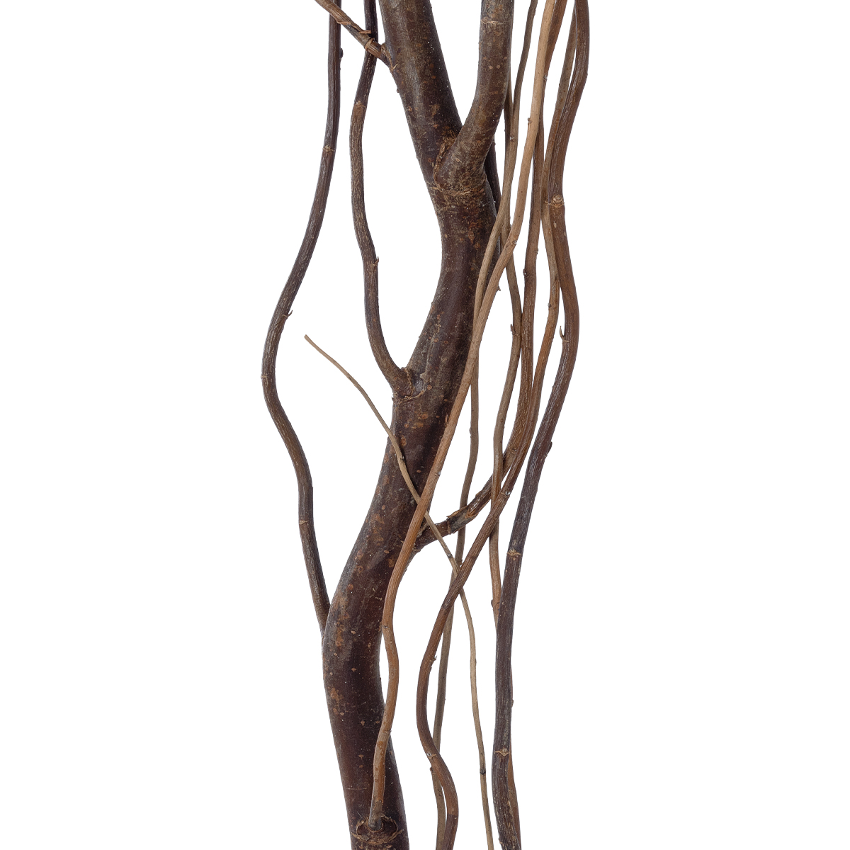 GloboStar® Artificial Garden REAL DRIED WITHERED VINE STEM 21221 Τεχνητό Διακοσμητικό Κλαδί Αμπελιού Y180cm GloboStar® Artificial Garden REAL DRIED WITHERED VINE STEM 21221 Τεχνητό Διακοσμητικό Κλαδί Αμπελιού Y180cm