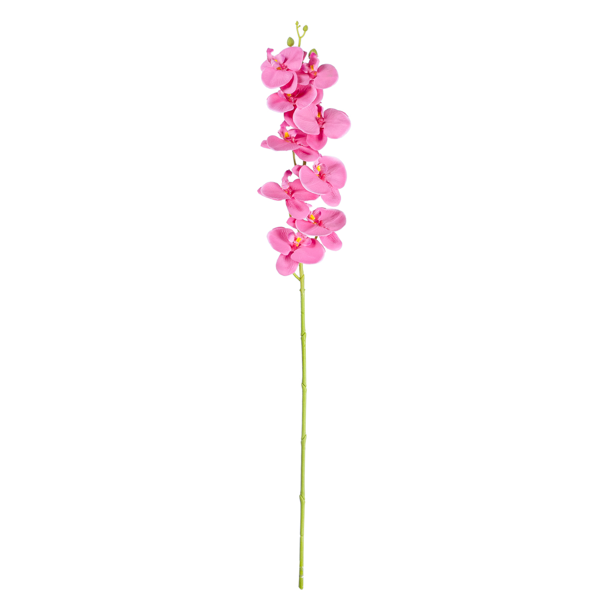 GloboStar® Artificial Garden PINK ORCHID BRANCH 21131 Τεχνητό Διακοσμητικό Κλαδί Ορχιδέας Y85cm GloboStar® Artificial Garden PINK ORCHID BRANCH 21131 Τεχνητό Διακοσμητικό Κλαδί Ορχιδέας Y85cm
