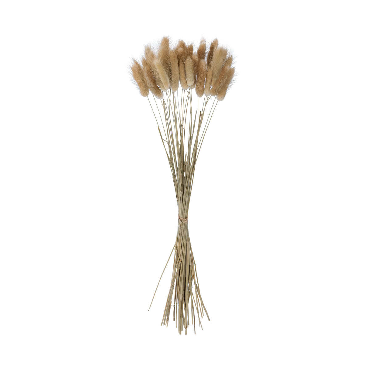 GloboStar® Artificial Garden REAL DRIED BEIGE WHEAT BUNCH 21219 Αποξηραμένο Διακοσμητικό Μπουκέτο Σιταριού Y50cm - Σετ 30 τμχ GloboStar® Artificial Garden REAL DRIED BEIGE WHEAT BUNCH 21219 Αποξηραμένο Διακοσμητικό Μπουκέτο Σιταριού Y50cm - Σετ 30 τμχ