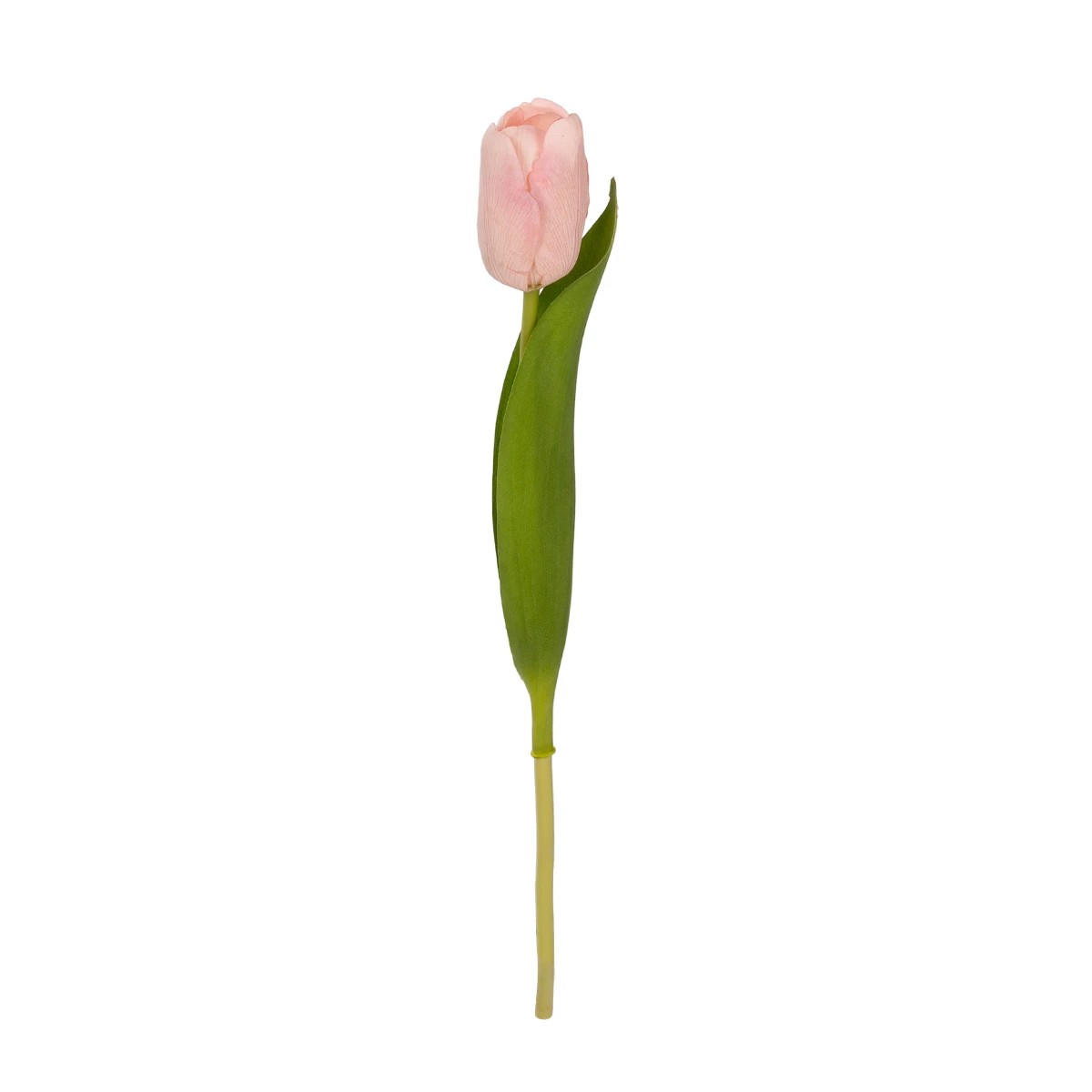 GloboStar® Artificial Garden PINK TULIP BRANCH 21200 Τεχνητό Διακοσμητικό Κλαδί Ροζ Τουλίπα Y37cm GloboStar® Artificial Garden PINK TULIP BRANCH 21200 Τεχνητό Διακοσμητικό Κλαδί Ροζ Τουλίπα Y37cm
