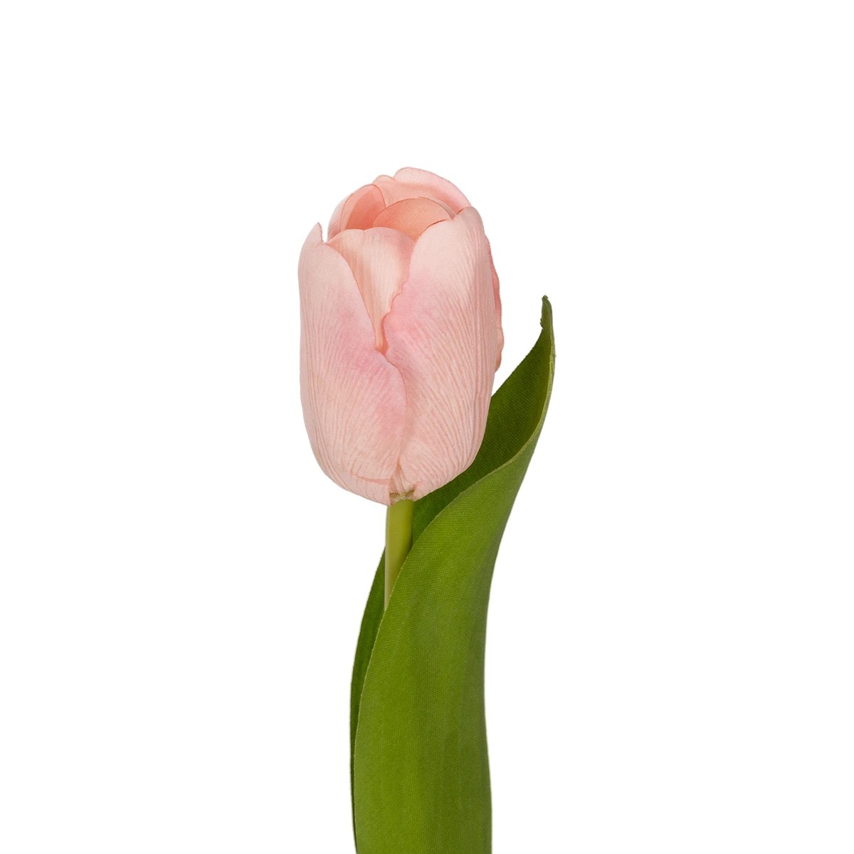 GloboStar® Artificial Garden PINK TULIP BRANCH 21200 Τεχνητό Διακοσμητικό Κλαδί Ροζ Τουλίπα Y37cm GloboStar® Artificial Garden PINK TULIP BRANCH 21200 Τεχνητό Διακοσμητικό Κλαδί Ροζ Τουλίπα Y37cm