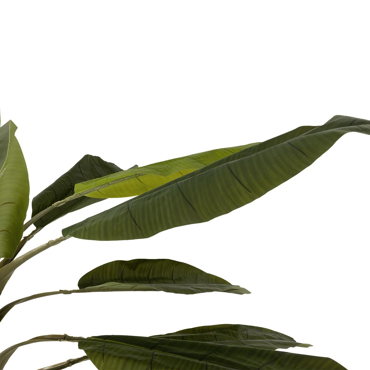 GloboStar® Artificial Garden BANANA TREE 21501 Τεχνητό Διακοσμητικό Δέντρο Μπανανιάς Υ400cm GloboStar® Artificial Garden BANANA TREE 21501 Τεχνητό Διακοσμητικό Δέντρο Μπανανιάς Υ400cm