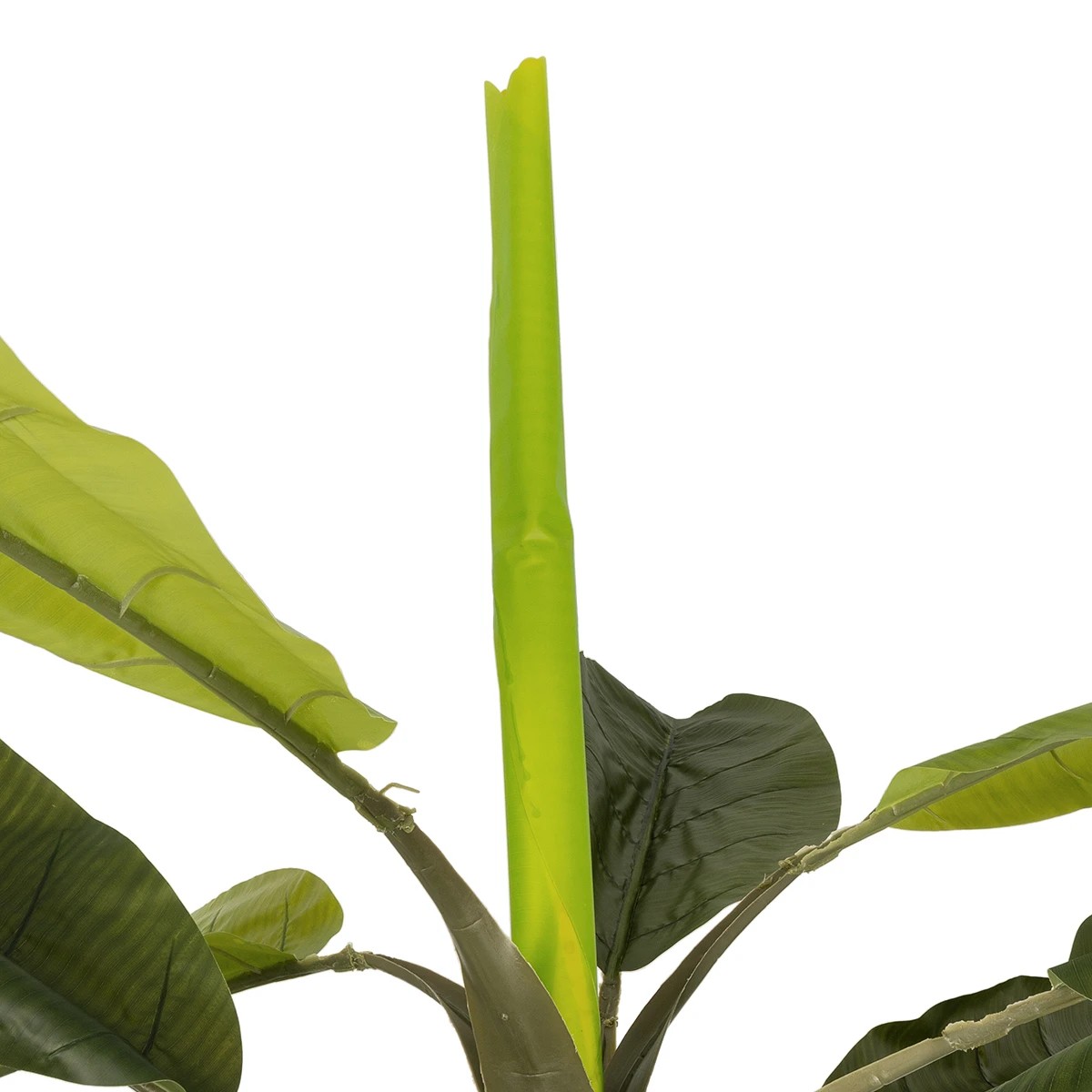 GloboStar® Artificial Garden BANANA TREE 21500 Τεχνητό Διακοσμητικό Δέντρο Μπανανιάς Υ300cm GloboStar® Artificial Garden BANANA TREE 21500 Τεχνητό Διακοσμητικό Δέντρο Μπανανιάς Υ300cm