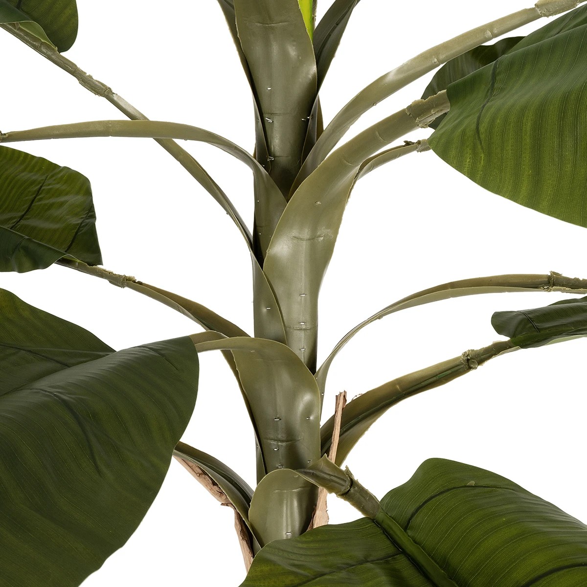 GloboStar® Artificial Garden BANANA TREE 21500 Τεχνητό Διακοσμητικό Δέντρο Μπανανιάς Υ300cm GloboStar® Artificial Garden BANANA TREE 21500 Τεχνητό Διακοσμητικό Δέντρο Μπανανιάς Υ300cm