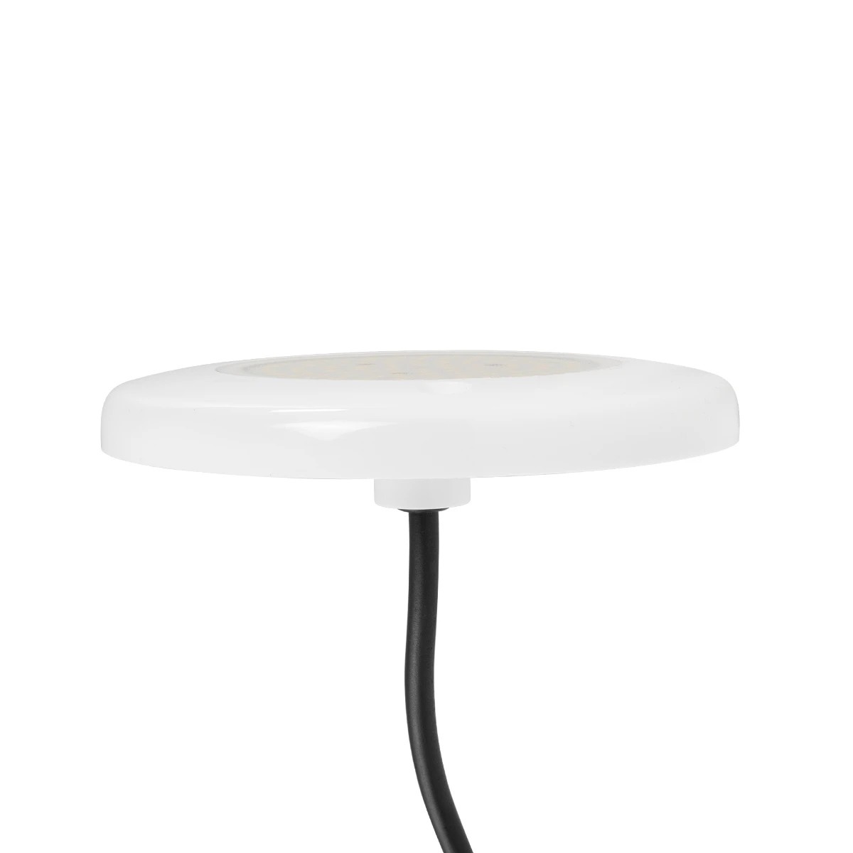 GLOBOSTAR® POOLARTY 61714 Υποβρύχιο Φωτιστικό για Σιντριβάνια/Πισίνες LED 8W 680lm 120° DC 12V Αδιάβροχο IP68 Ψυχρό Λευκό 6000K Dimmable - Bridgelux SMD Chip - 1m VDE Rubber Καλώδιο - Φ13 x Υ2cm - 3 Χρόνια Εγγύηση GLOBOSTAR® POOLARTY 61714 Υποβρύχιο Φωτιστικό για Σιντριβάνια/Πισίνες LED 8W 680lm 120° DC 12V Αδιάβροχο IP68 Ψυχρό Λευκό 6000K Dimmable - Bridgelux SMD Chip - 1m VDE Rubber Καλώδιο - Φ13 x Υ2cm - 3 Χρόνια Εγγύηση
