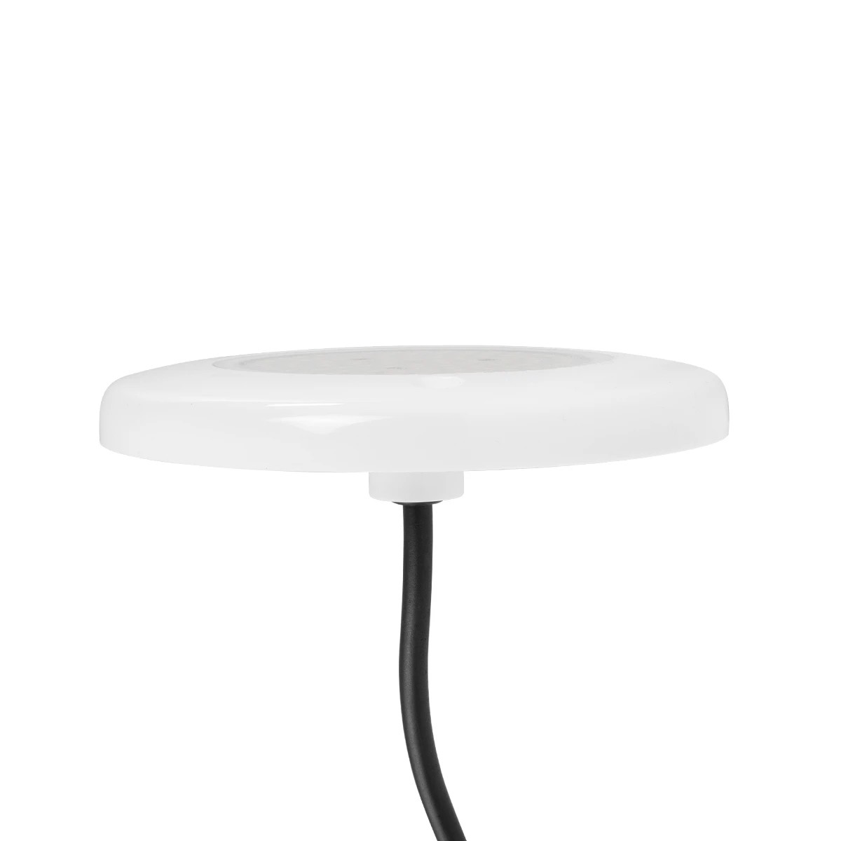 GLOBOSTAR® POOLARTY 61717 Υποβρύχιο Φωτιστικό για Σιντριβάνια/Πισίνες LED 8W 560lm 120° DC 12V Αδιάβροχο IP68 Μπλε Dimmable - Bridgelux SMD Chip - 1m VDE Rubber Καλώδιο - Φ13 x Υ2cm - 3 Χρόνια Εγγύηση GLOBOSTAR® POOLARTY 61717 Υποβρύχιο Φωτιστικό για Σιντριβάνια/Πισίνες LED 8W 560lm 120° DC 12V Αδιάβροχο IP68 Μπλε Dimmable - Bridgelux SMD Chip - 1m VDE Rubber Καλώδιο - Φ13 x Υ2cm - 3 Χρόνια Εγγύηση